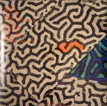 2LP Animal Collective: Tangerine Reef