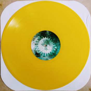 2LP Animals As Leaders: Animals As Leaders LTD | CLR