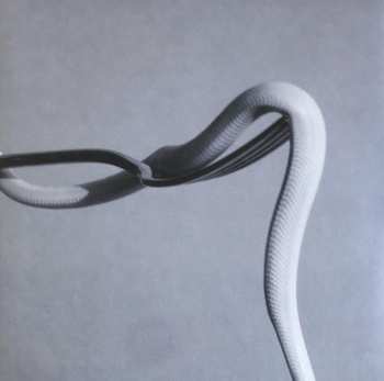 LP Animals As Leaders: Parrhesia CLR | LTD