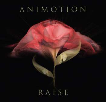 CD Animotion: Raise