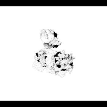 CD Anna Webber: Capacious Aeration