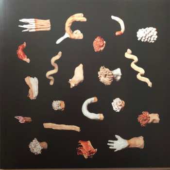 LP Anna Meredith: Fibs LTD | CLR
