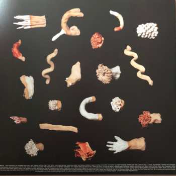 LP Anna Meredith: Fibs LTD | CLR