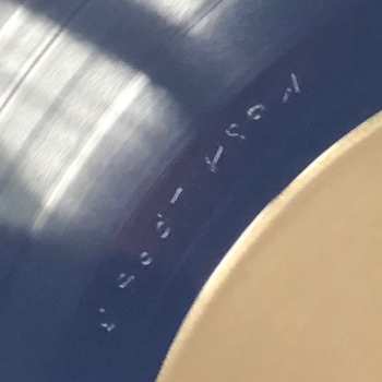 LP Anna Meredith: Fibs LTD | CLR