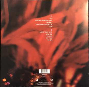 LP Annie Lennox: Diva