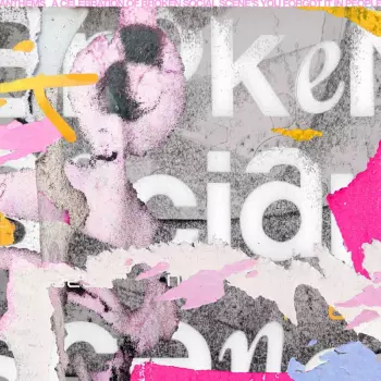 Anthems: Celebration Of Broken Social Scene's You: Anthems: Celebration Of Broken Social Scene's You