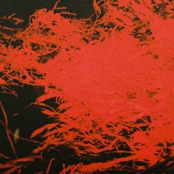 Album Anthony Naples: In Studio Magic