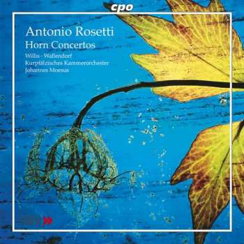 Album Sarah Willis: Horn Concertos