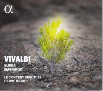 Album Antonio Vivaldi: Gloria / Magnificat