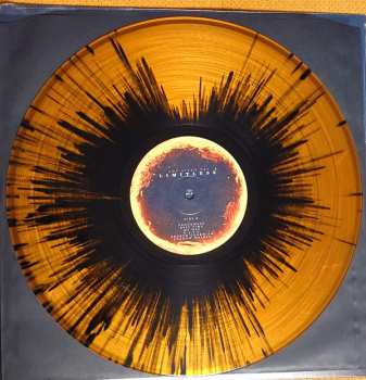 LP Any Given Day: Limitless CLR | LTD