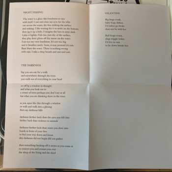 CD Aoife O'Donovan: Bull Frogs Croon (And Other Songs)