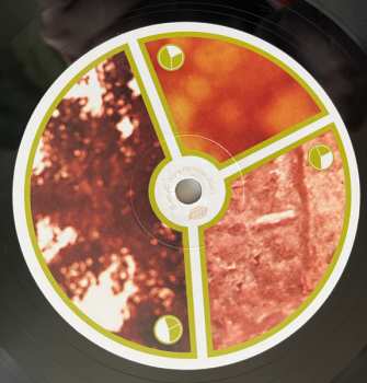 4LP Aphex Twin: Selected Ambient Works Volume II