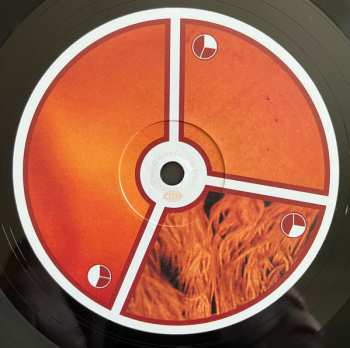 4LP Aphex Twin: Selected Ambient Works Volume II