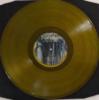 LP Arabs In Aspic: Strange Frame Of Mind LTD | CLR