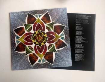 LP Arbouretum: Song Of The Rose