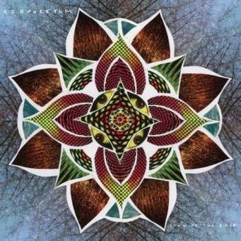 CD Arbouretum: Song Of The Rose