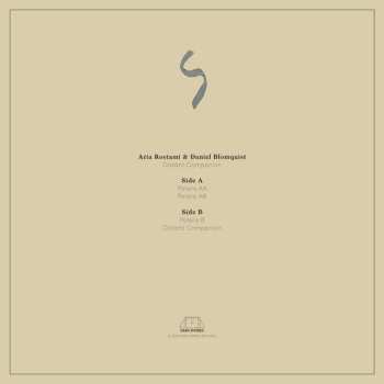 LP Aria Rostami: Distant Companion