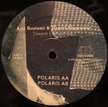 LP Aria Rostami: Distant Companion