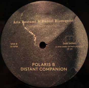 LP Aria Rostami: Distant Companion