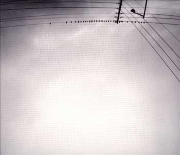 Album Armand Margjeka: Hummingbird