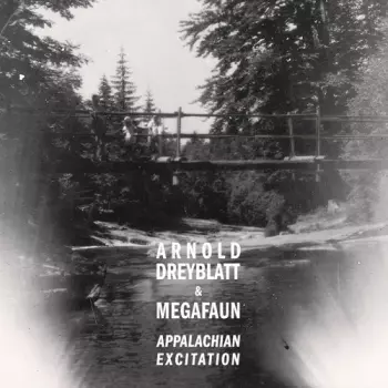 Arnold Dreyblatt: Appalachian Excitation