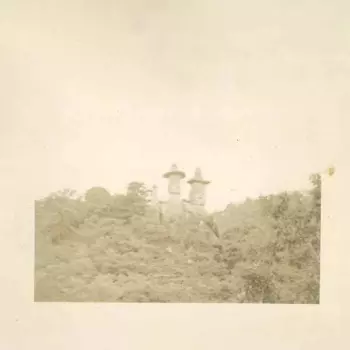Lost Island