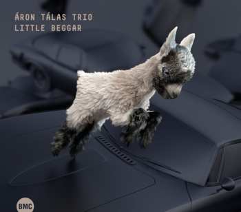 Album Áron Tálas Trio: Little Beggar
