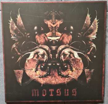 LP Arroganz: Morsus LTD | NUM