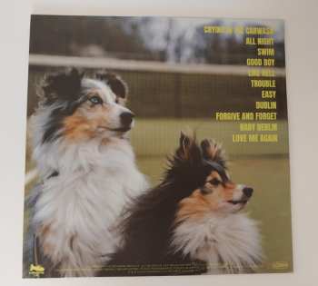 LP ARXX: Good Boy LTD | CLR