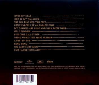 CD Asaf Avidan: Gold Shadow