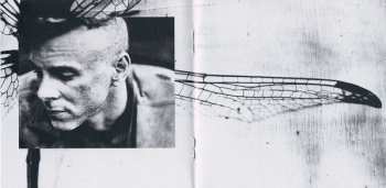 CD Asaf Avidan: The Study On Falling
