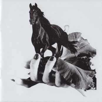 CD Ascii Disko: Black Orchid: From Airlines To Lifelines