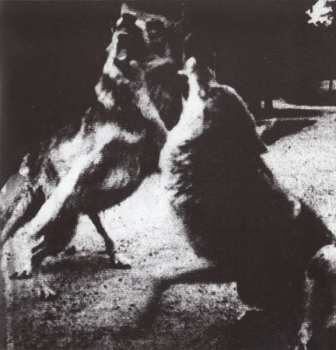 CD Ascii Disko: Black Orchid: From Airlines To Lifelines