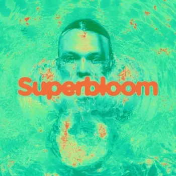 Ashton Irwin: Superbloom