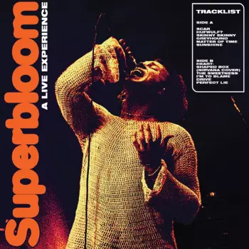 Ashton Irwin: Superbloom: A Live Experience