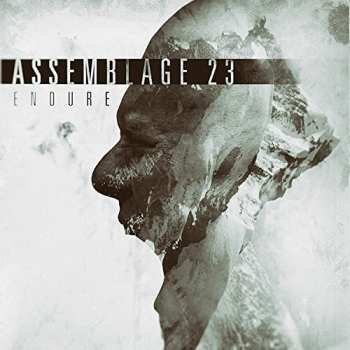 CD Assemblage 23: Endure