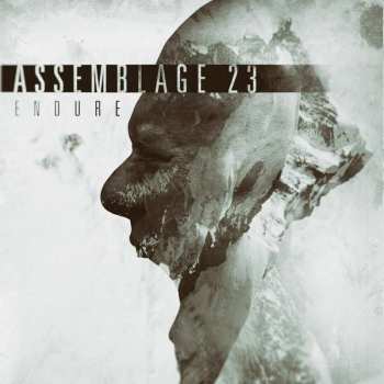EP Assemblage 23: Endure