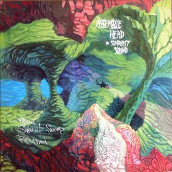 Album Assemble Head In Sunburst Sound: When Sweet Sleep Returned