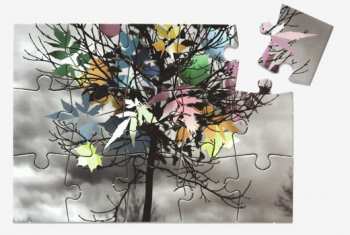 CD At The Close Of Every Day: Leaves You Puzzled LTD