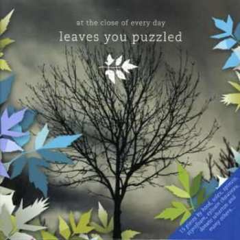 CD At The Close Of Every Day: Leaves You Puzzled LTD