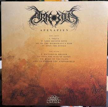 LP Atræ Bilis: Apexapien LTD | CLR