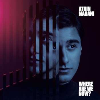 LP Atrin Madani: Where Are We Now?