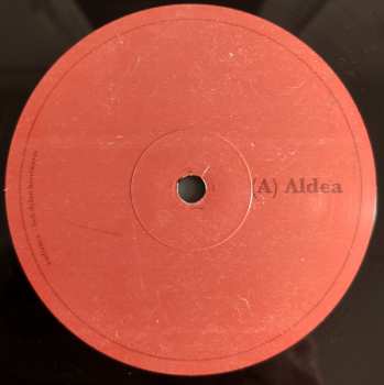 LP Audience: bob dylan berrikusia