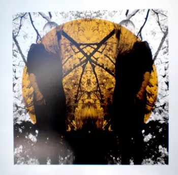 Austra: Feel It Break