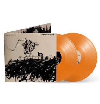 2LP Avenged Sevenfold: Life Is But A Dream... LTD | CLR