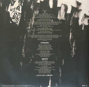 2LP Avenged Sevenfold: Life Is But A Dream... LTD | CLR