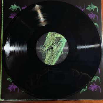 LP Avey Tare: Down There