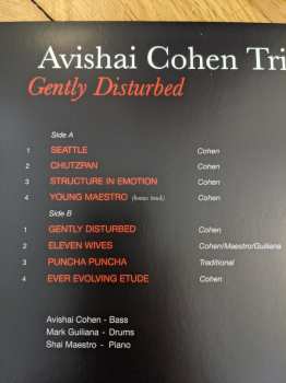 LP Avishai Cohen Trio: Gently Disturbed