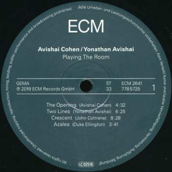 LP Avishai E. Cohen: Playing The Room