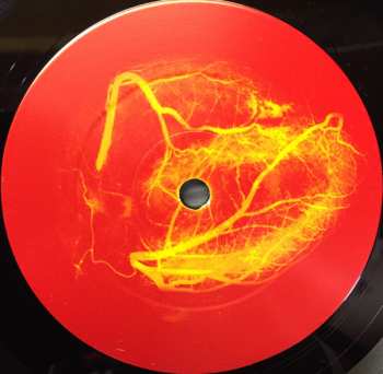 LP Azita: How Will You?